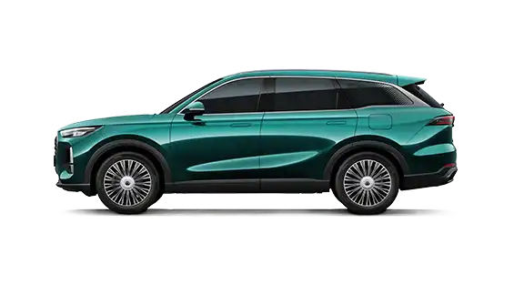 Tiggo 9